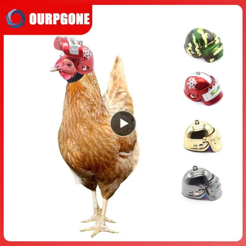 Car Decorations Duck With Helmet Propeller Rubber Cool Glasses Duck For Car Styling Bike Or Motorcycle Decoration Toy Duck
Car Decorations Duck With Helmet Propeller Rubber Cool Glasses Duck For Car Styling Bike Or Motorcycle Decoration Toy Duck