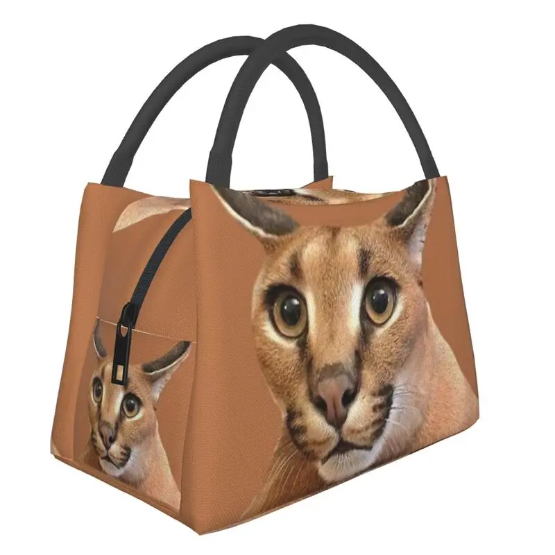 

Communism Floppa Cute Meme Insulated Lunch Bag for Women Portable Caracal Cat Cooler Thermal Lunch Tote Office Picnic Travel