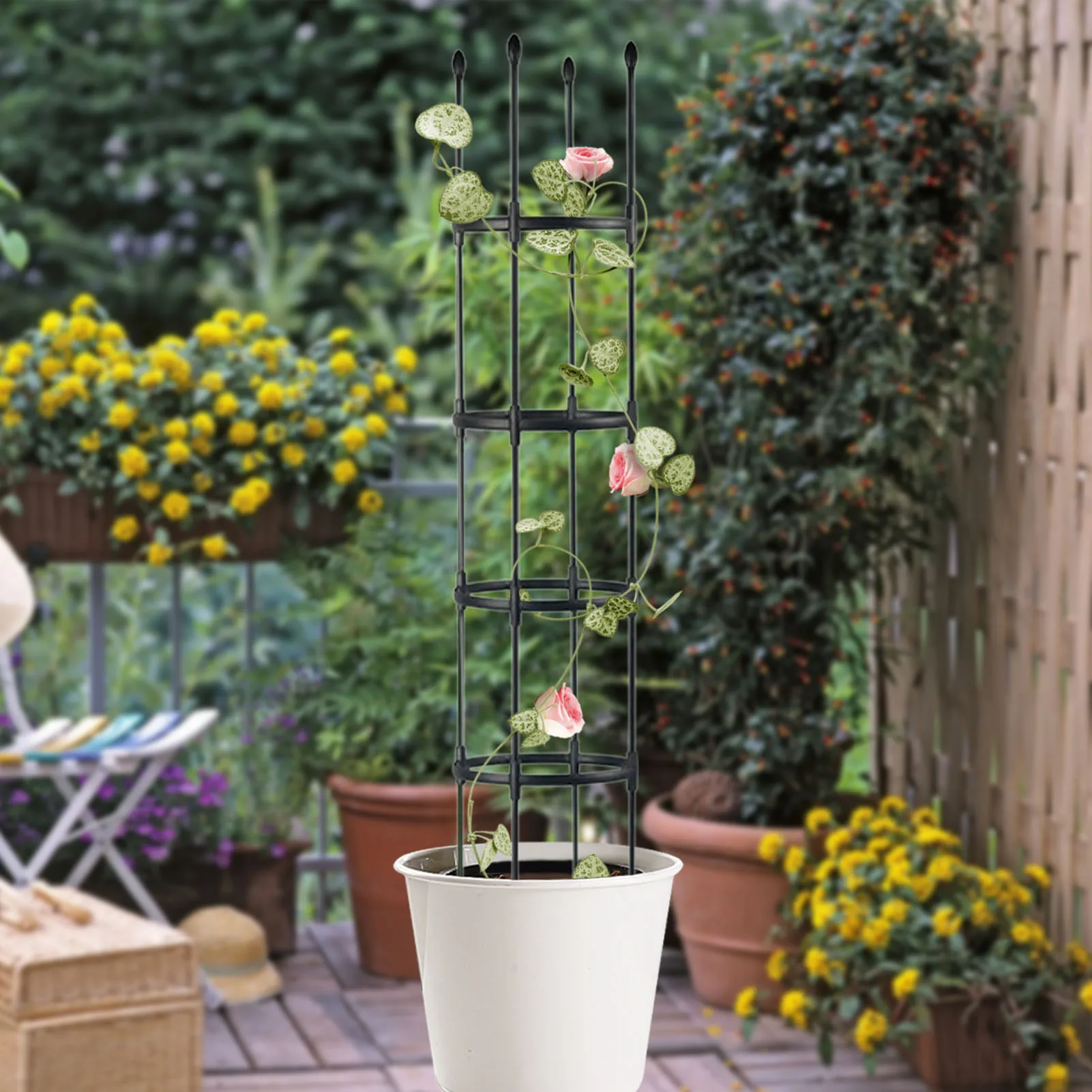 Obelisk Garden Plants Cage For Vines Rustproof Metal Trellis Flower Support For Climbing Plants PE PP Coating Steel Frame For
Obelisk Garden Plants Cage For Vines Rustproof Metal Trellis Flower Support For Climbing Plants PE PP Coating Steel Frame For