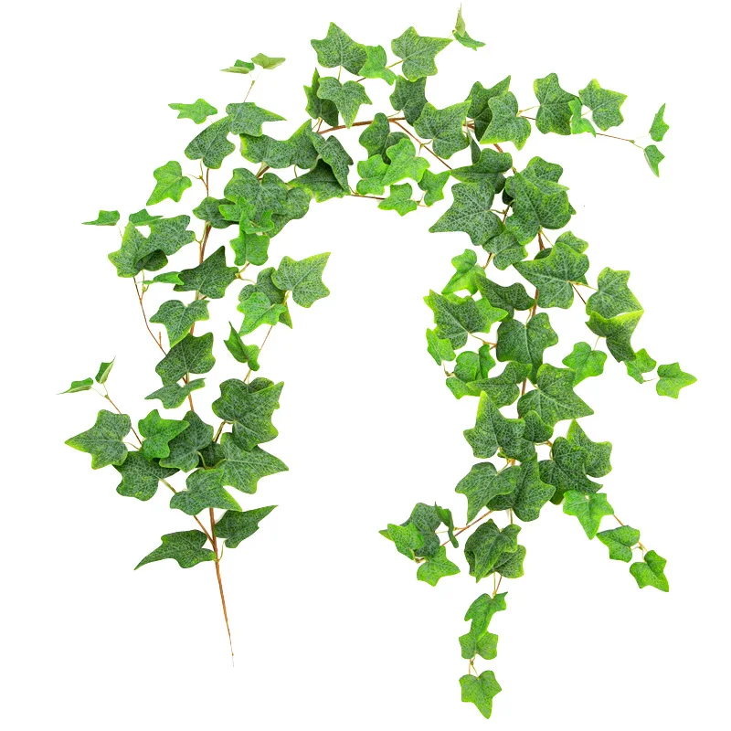 Ivy Leaf Plants Vine Hanging Garland Fake Foliage Flowers Home Garden Wedding Plastic Rattan String Wall Decor Artificial Plants
Ivy Leaf Plants Vine Hanging Garland Fake Foliage Flowers Home Garden Wedding Plastic Rattan String Wall Decor Artificial Plants