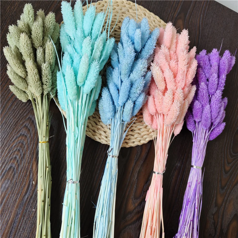 90pcs Gem Grass Natural Dried Flower Jewelry Grass Phalaris Preserved Flower Bouquet Wedding Party Living Room Hoom Boho Decor
90pcs Gem Grass Natural Dried Flower Jewelry Grass Phalaris Preserved Flower Bouquet Wedding Party Living Room Hoom Boho Decor