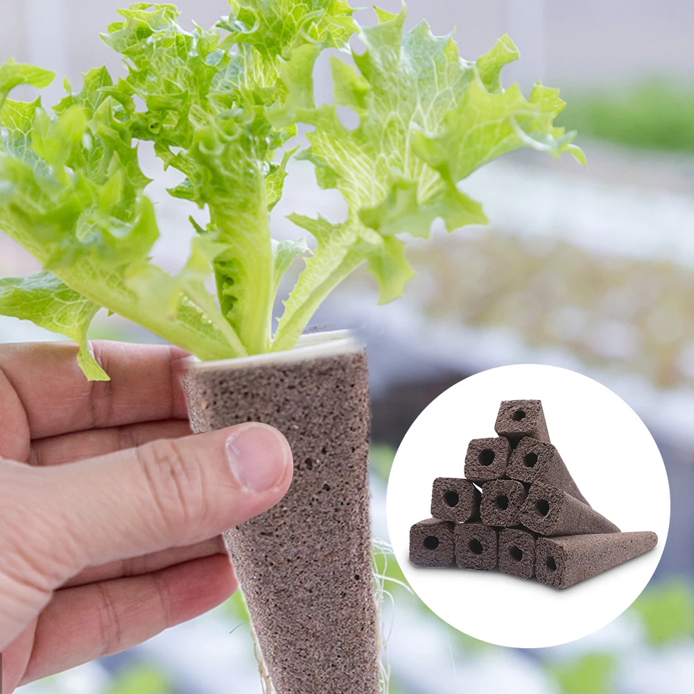 50pcs Flower Herb Replacement Seedling Pot Germination Sponge Garden Planting Fruit Hydroponic Supplement Outdoor Vegetable
50pcs Flower Herb Replacement Seedling Pot Germination Sponge Garden Planting Fruit Hydroponic Supplement Outdoor Vegetable