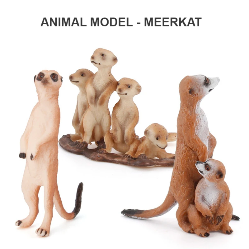 

Animal Figures Simulate Wild Animal Meerkat Model Static Desktop Decoration Toys Children's Science Cognitive Animal Figures Toy