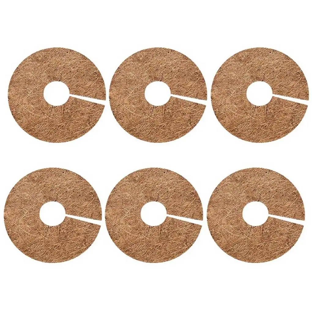 6 шт Coir волокна мульча протектор мат соломенная защита горшечная крышка прополка ткань Подушка Матрас Крытый Патио растения
6 шт Coir волокна мульча протектор мат соломенная защита горшечная крышка прополка ткань Подушка Матрас Крытый Патио растения