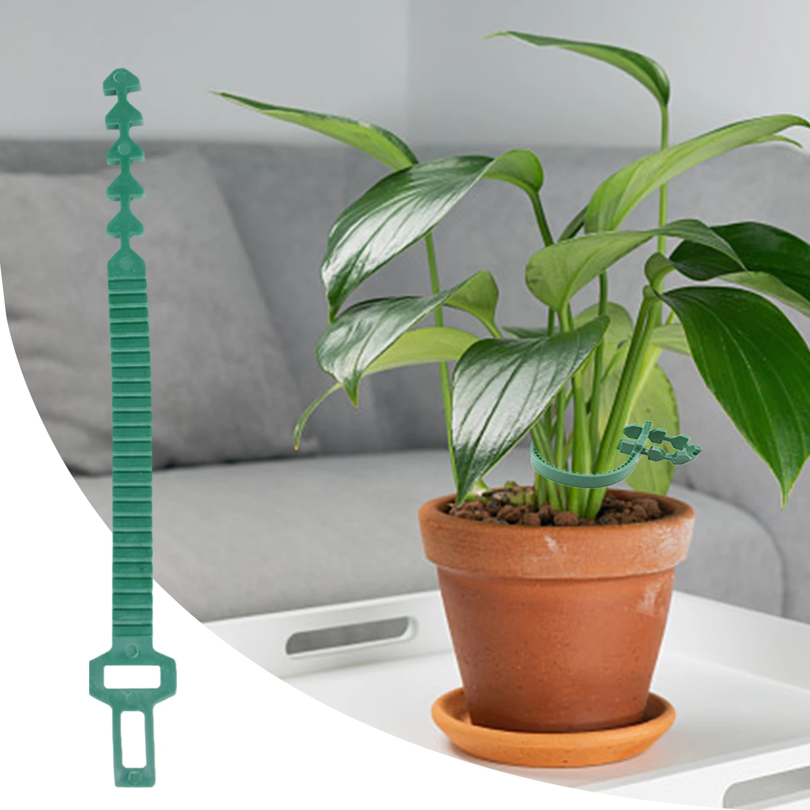 10Pcs Plant Ties Adjustable Shrub Stake Straps Interlock Ties For Garden Fixing Trees And Shrub Gardening Tools 9.45in Length
10Pcs Plant Ties Adjustable Shrub Stake Straps Interlock Ties For Garden Fixing Trees And Shrub Gardening Tools 9.45in Length