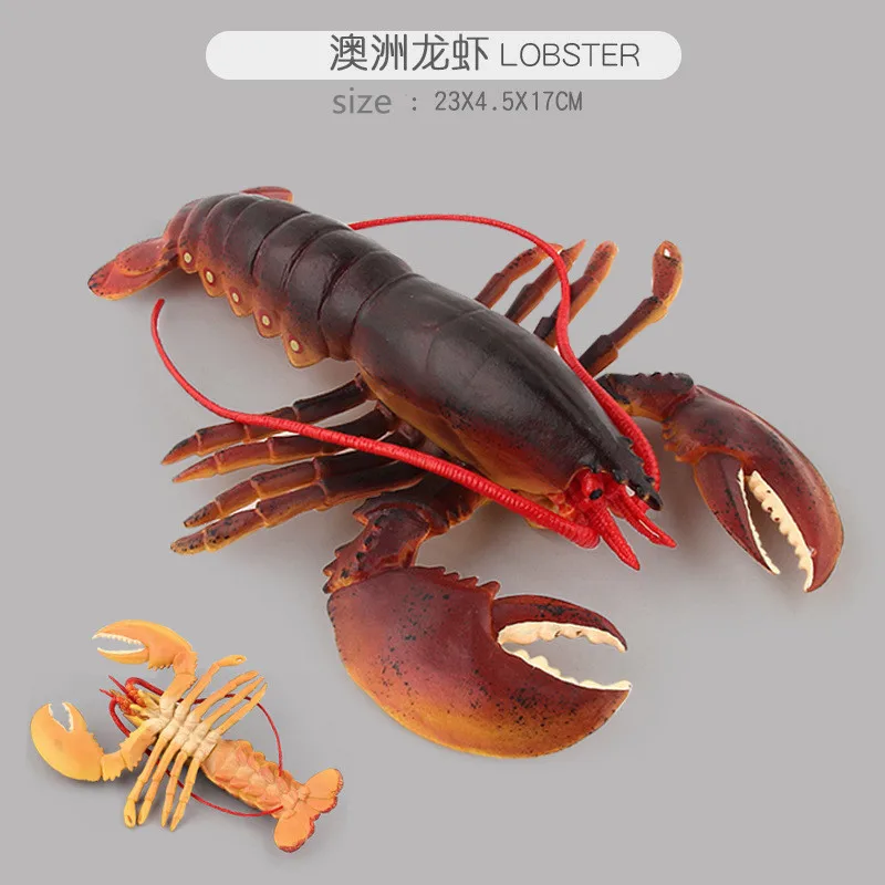 Новый продукт, искусственная лобстер, морское животное, модель существа, игрушка, украшение для дома, подарок на день рождения
Новый продукт, искусственная лобстер, морское животное, модель существа, игрушка, украшение для дома, подарок на день рождения