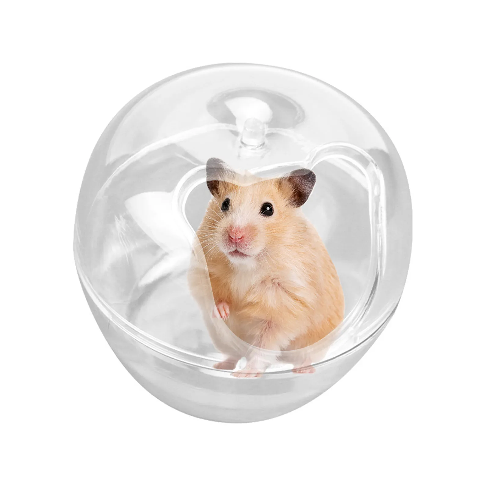 Hamster Sand Container Apples-shaped Hamster Sand Bath Container Small Pets Sand Bath Box And Hamster Hideout Sand Bath
Hamster Sand Container Apples-shaped Hamster Sand Bath Container Small Pets Sand Bath Box And Hamster Hideout Sand Bath