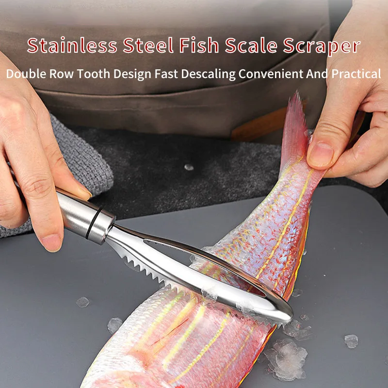 Stainless Steel Fish Scale Knife Scale Scraper Sawtooth Peelers Scraping Boning Filleting Cutter Stainless Scaler for Fish Skin
Stainless Steel Fish Scale Knife Scale Scraper Sawtooth Peelers Scraping Boning Filleting Cutter Stainless Scaler for Fish Skin