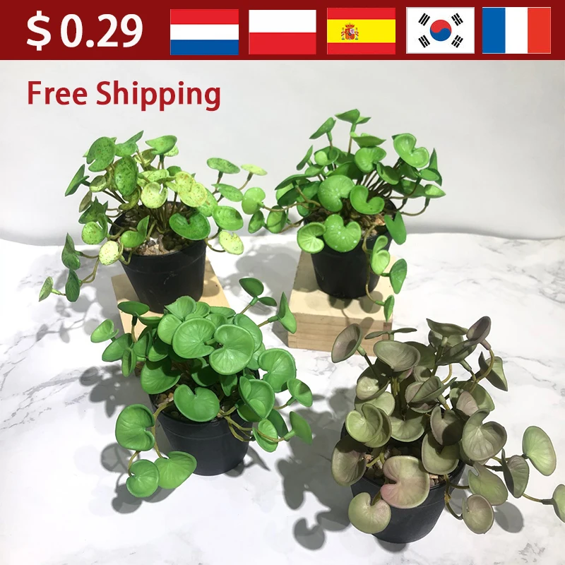 Искусственное растение, мини букет, медная монета, трава, искусственный плющ, листья, подвесное украшение на стену для дома, офиса, сада
Искусственное растение, мини букет, медная монета, трава, искусственный плющ, листья, подвесное украшение на стену для дома, офиса, сада