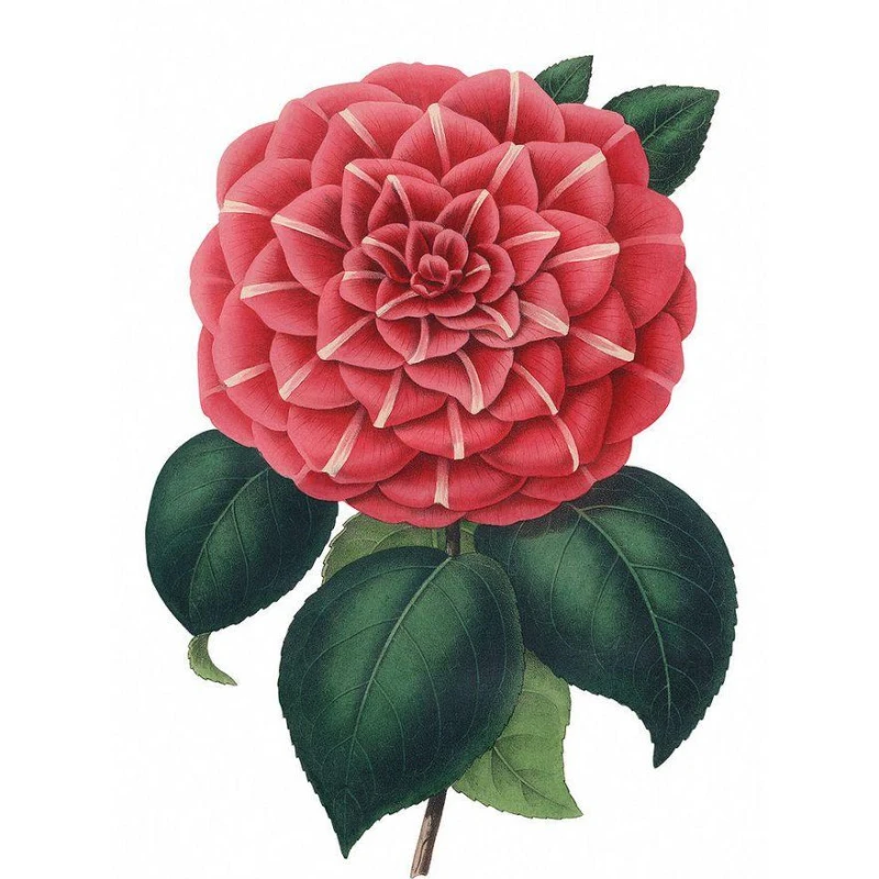 Diamond Painting Red Flower 5d Diy Mosaic Full Square Round Drill Diamant Of Rhinestone Daimond Embroidery Pictures
Diamond Painting Red Flower 5d Diy Mosaic Full Square Round Drill Diamant Of Rhinestone Daimond Embroidery Pictures