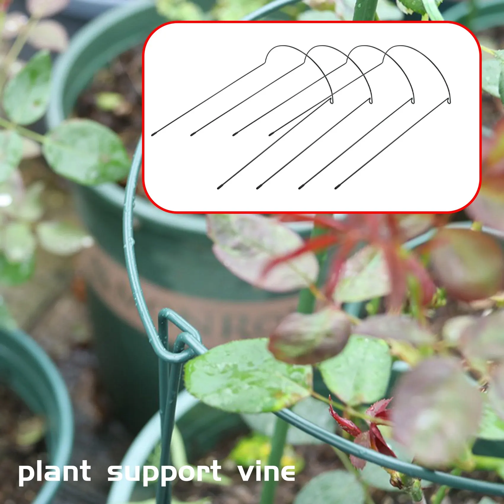 4 Pack Plant Support Stake Metal Garden Plant Stake Green Half Round Plant Support Ring Plant Cage Plant Support
4 Pack Plant Support Stake Metal Garden Plant Stake Green Half Round Plant Support Ring Plant Cage Plant Support