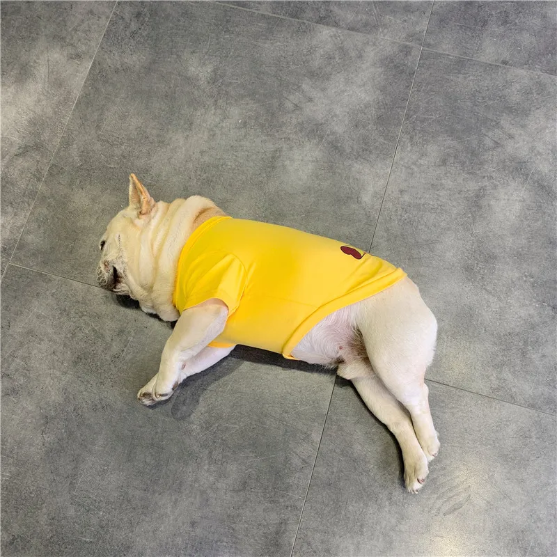 Pet Dog Clothes Spring and Summer Thin Fashion Printing T-shirt Vest Small French Bulldog Chihuahua Yorkshire Terrier Costume
Pet Dog Clothes Spring and Summer Thin Fashion Printing T-shirt Vest Small French Bulldog Chihuahua Yorkshire Terrier Costume