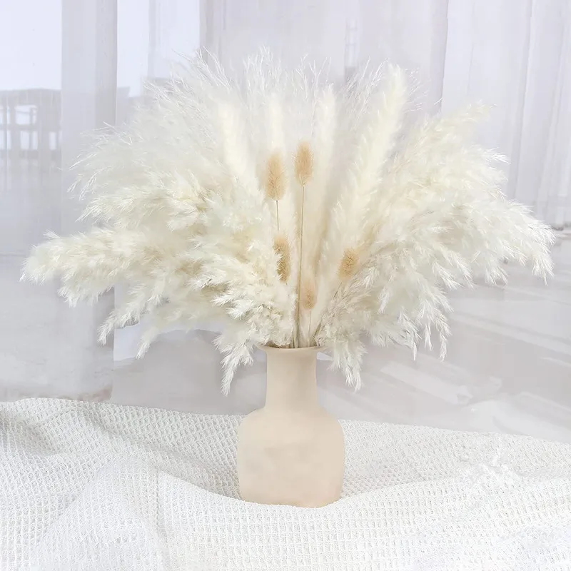 40pcs Natural Dried Pampas Grass Plumes Rabbit Tail Millet Mixing Bulrush Fluffy Home Living Room Wedding Arrangement Flower 
40pcs Natural Dried Pampas Grass Plumes Rabbit Tail Millet Mixing Bulrush Fluffy Home Living Room Wedding Arrangement Flower