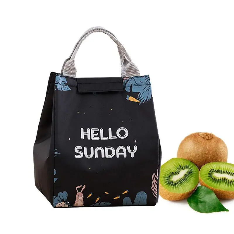 Lunch Bag Insulated Thermal Lunch Box Container Leakproof Thermal Cooler Sack Food Handbags Case High Capacity For Work School 
Lunch Bag Insulated Thermal Lunch Box Container Leakproof Thermal Cooler Sack Food Handbags Case High Capacity For Work School