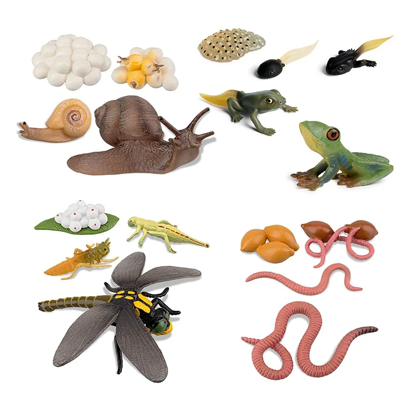 Life Cycle Of Frog Snail Earthworm Dragonfly, Egg Tadpole To Frog Safariology Amphibian Figurinestoy Kit, School Project
Life Cycle Of Frog Snail Earthworm Dragonfly, Egg Tadpole To Frog Safariology Amphibian Figurinestoy Kit, School Project