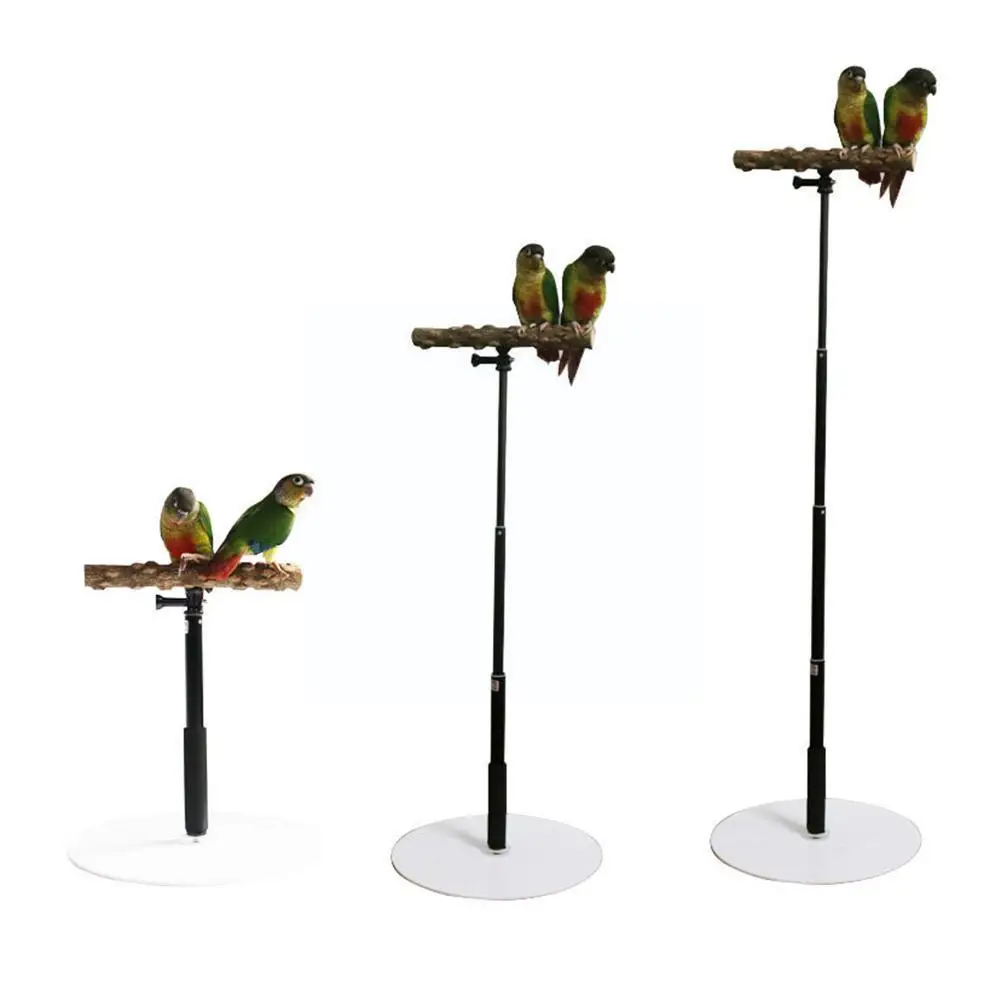 T Shape Standing Parrot Bird Training Stand Detachable Stand Toys Supplies Adjustable Display Parrot Bird Z0m2
T Shape Standing Parrot Bird Training Stand Detachable Stand Toys Supplies Adjustable Display Parrot Bird Z0m2