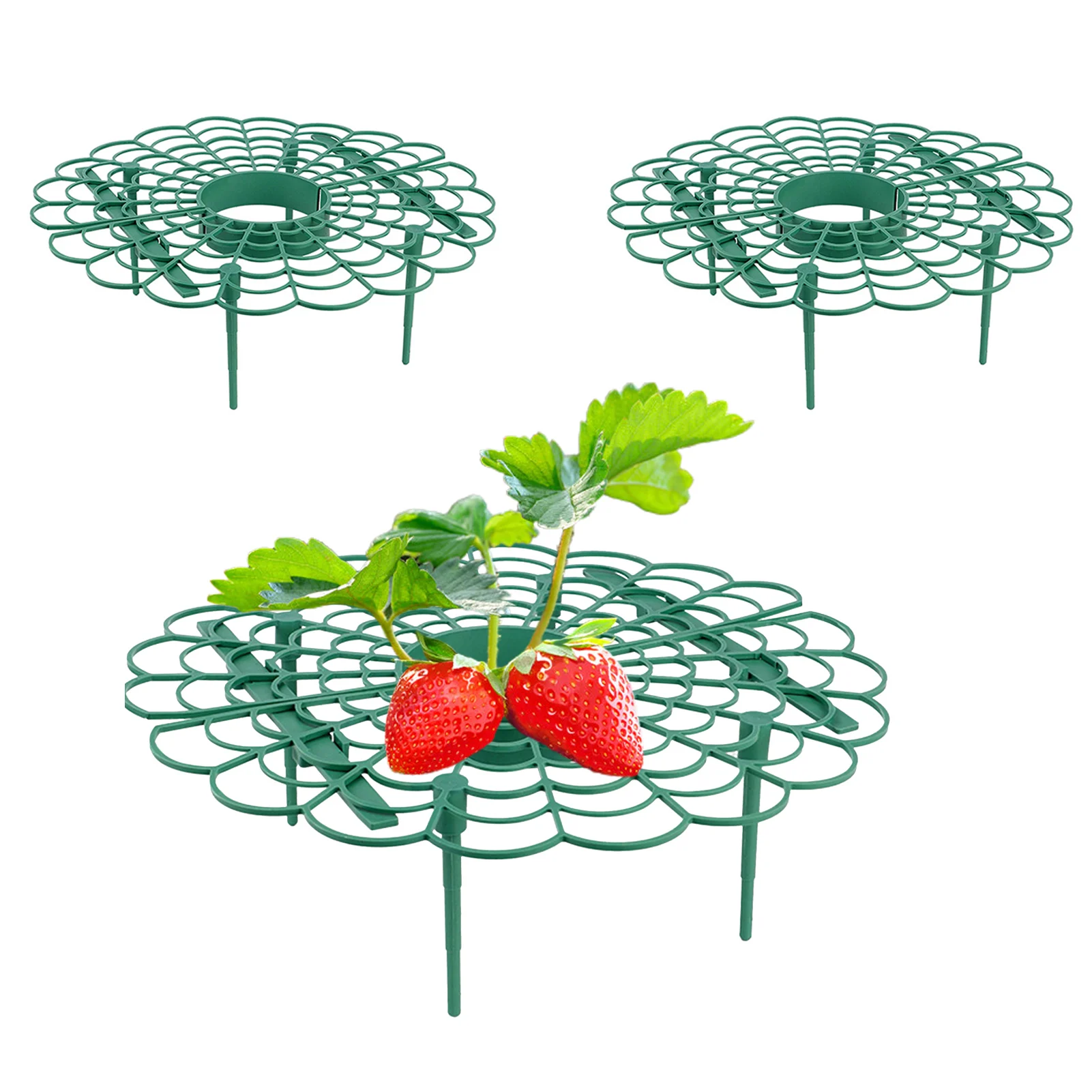 Strawberry Plant Support Strawberry Garden Plant Supports Sturdy Fruit Growing Racks Garden Stand Balcony Vegetable Rack For
Strawberry Plant Support Strawberry Garden Plant Supports Sturdy Fruit Growing Racks Garden Stand Balcony Vegetable Rack For