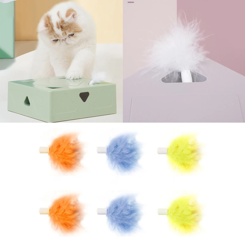 6 Pcs Interactive Cat Toy Feathers Replacements Head for FOFO Exercise Indoor Toy Tassel Toys Replacements Cat Accessories
6 Pcs Interactive Cat Toy Feathers Replacements Head for FOFO Exercise Indoor Toy Tassel Toys Replacements Cat Accessories