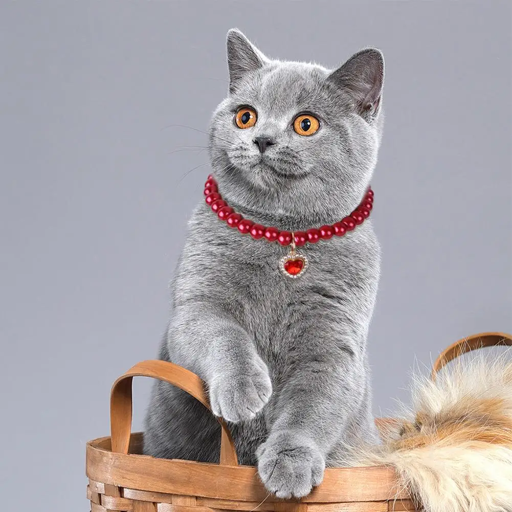 NEW Pet Pearl Necklace With Heart-shaped Diamond Pendant Cat Jewelry With Safety Buckle For Small Medium Dogs
NEW Pet Pearl Necklace With Heart-shaped Diamond Pendant Cat Jewelry With Safety Buckle For Small Medium Dogs