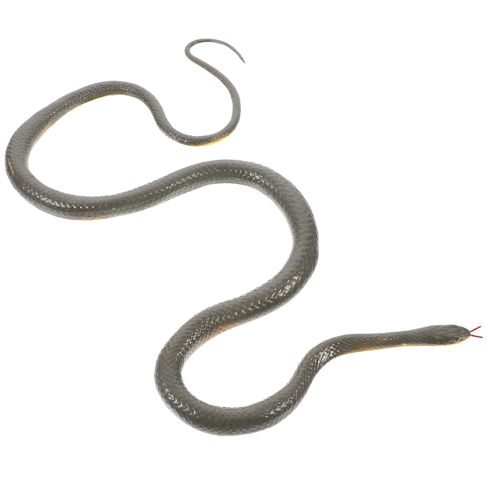 Snakefake Prank Realistic Snakes Prop Rubber Rainforest Propsfigurine Rattlesnakereal Artificial Decoration Haunted Simulation
Snakefake Prank Realistic Snakes Prop Rubber Rainforest Propsfigurine Rattlesnakereal Artificial Decoration Haunted Simulation