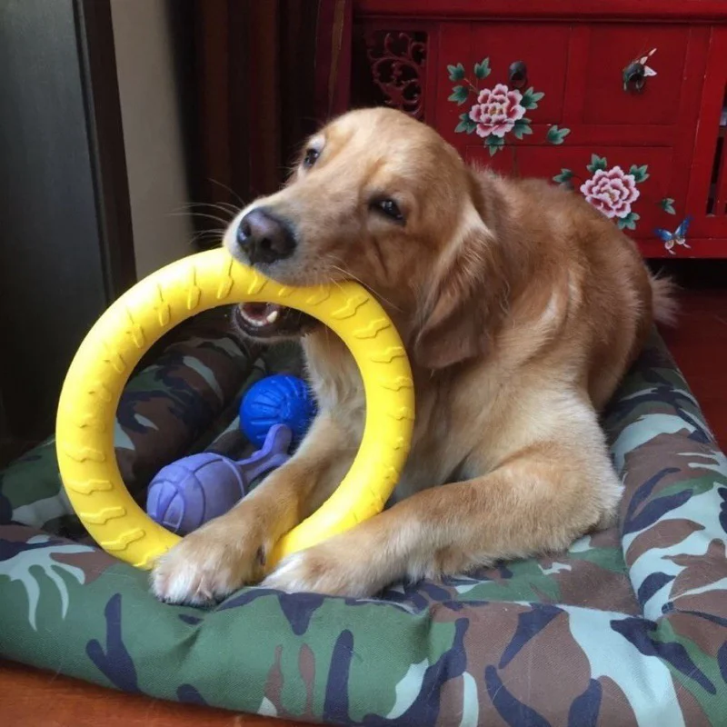 Dog Toys Pet Flying Discs Eva Training Ring For Big Large Dogs Puller Resistant Bite Floating Puppy Outdoor Interactive Supply
Dog Toys Pet Flying Discs Eva Training Ring For Big Large Dogs Puller Resistant Bite Floating Puppy Outdoor Interactive Supply