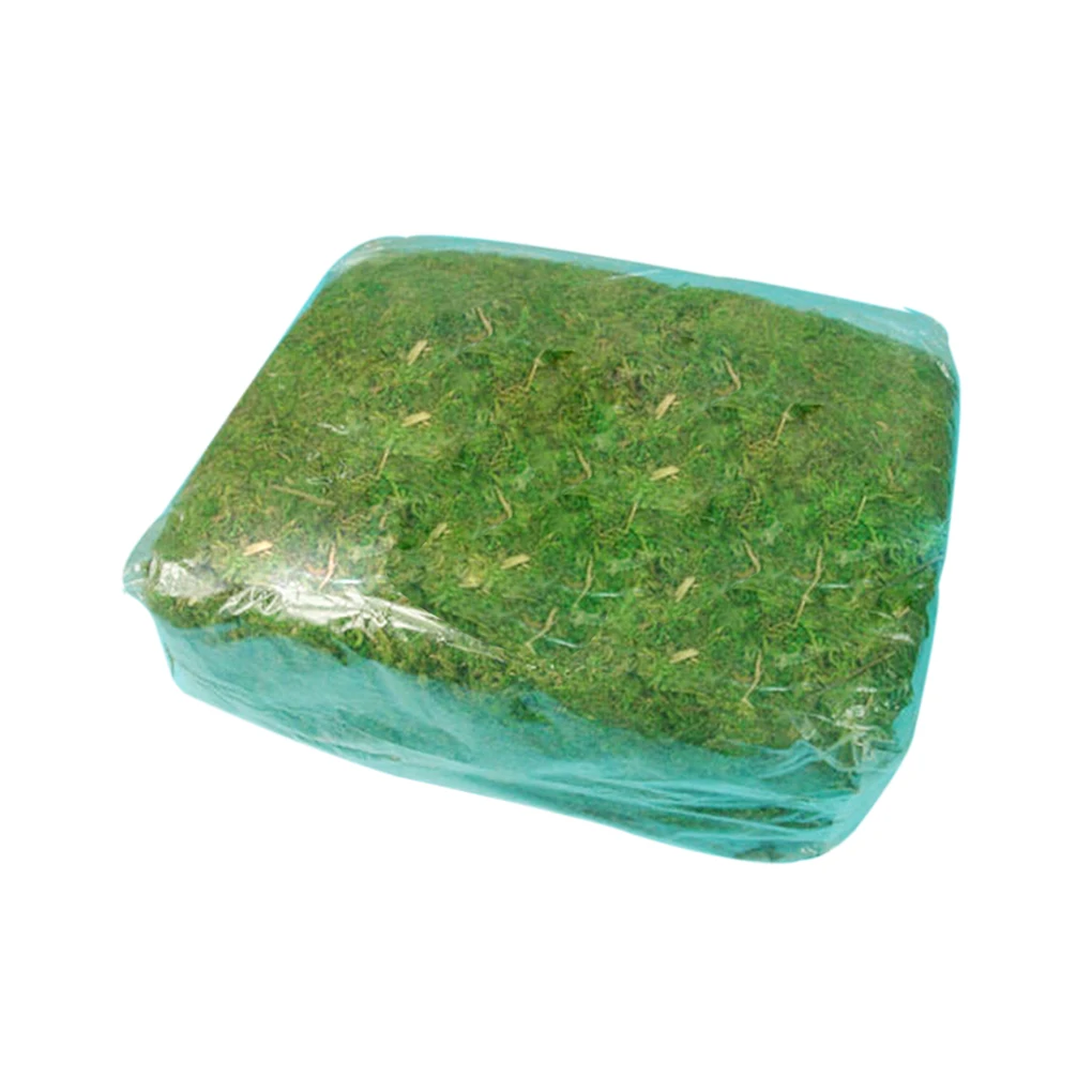 1pc Natural Artificial Moss Dried Grass DIY Decorative Preserved Flowers Accessories Wedding Ornament Home Garden Decoration
1pc Natural Artificial Moss Dried Grass DIY Decorative Preserved Flowers Accessories Wedding Ornament Home Garden Decoration
