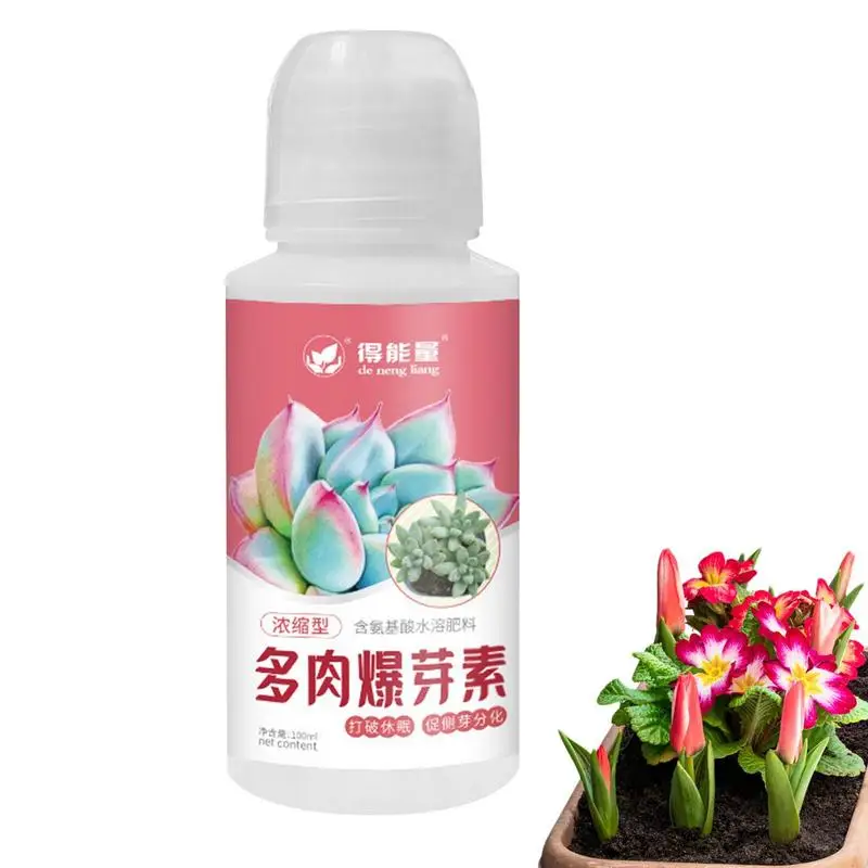 

Succulent Fertilizer Liquid Indoor Potting Mix Food 100ML Slow Release Fertilizer Amino Acid Boosts Succulent Bud Growth Health