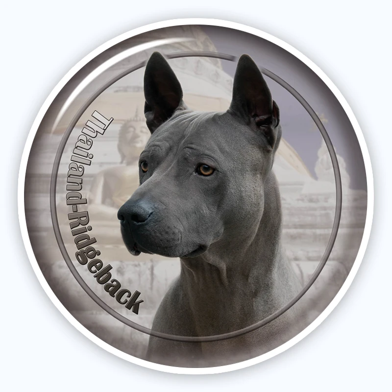 A0664 # различные размеры Съемная наклейка Тайланд Ridgeback 88 наклейка водонепроницаемые аксессуары на бампер заднее окно ноутбук
A0664 # различные размеры Съемная наклейка Тайланд Ridgeback 88 наклейка водонепроницаемые аксессуары на бампер заднее окно ноутбук