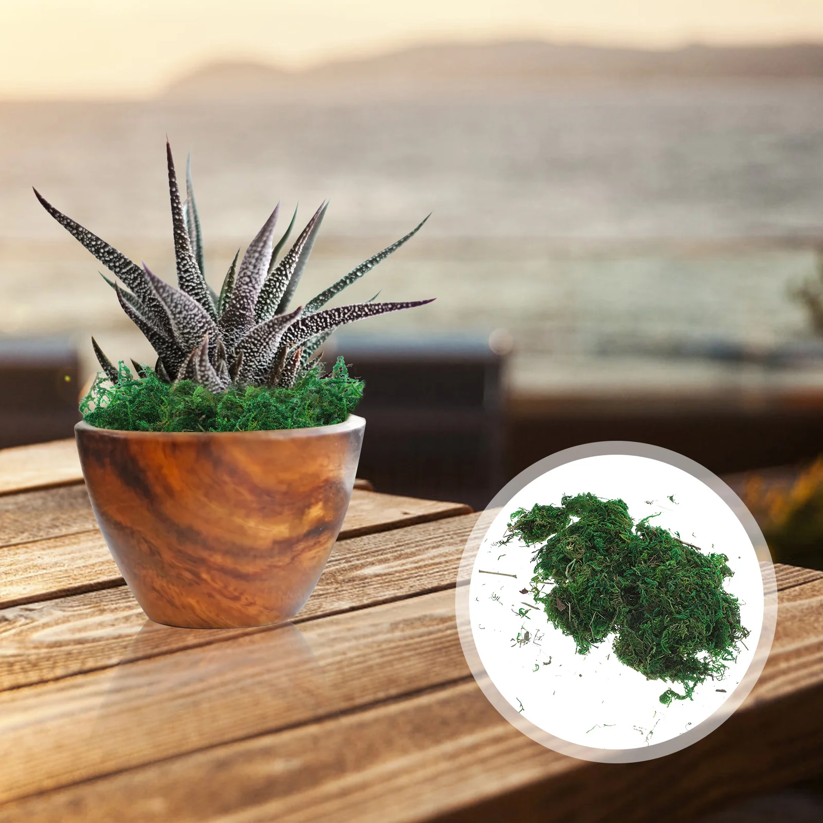 Mossartificial Fake Fauxgreen Lichen Natural House Dried Indoor Simulation Craft Potted Decorgrassgarden Sheet Crafts Decorative
Mossartificial Fake Fauxgreen Lichen Natural House Dried Indoor Simulation Craft Potted Decorgrassgarden Sheet Crafts Decorative