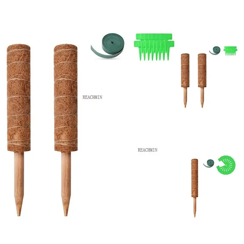 Moss Pole Coconut Shell Totem Pole Moss Pole, Used For Monster Plants, Money Plants And Climbing Indoor
Moss Pole Coconut Shell Totem Pole Moss Pole, Used For Monster Plants, Money Plants And Climbing Indoor