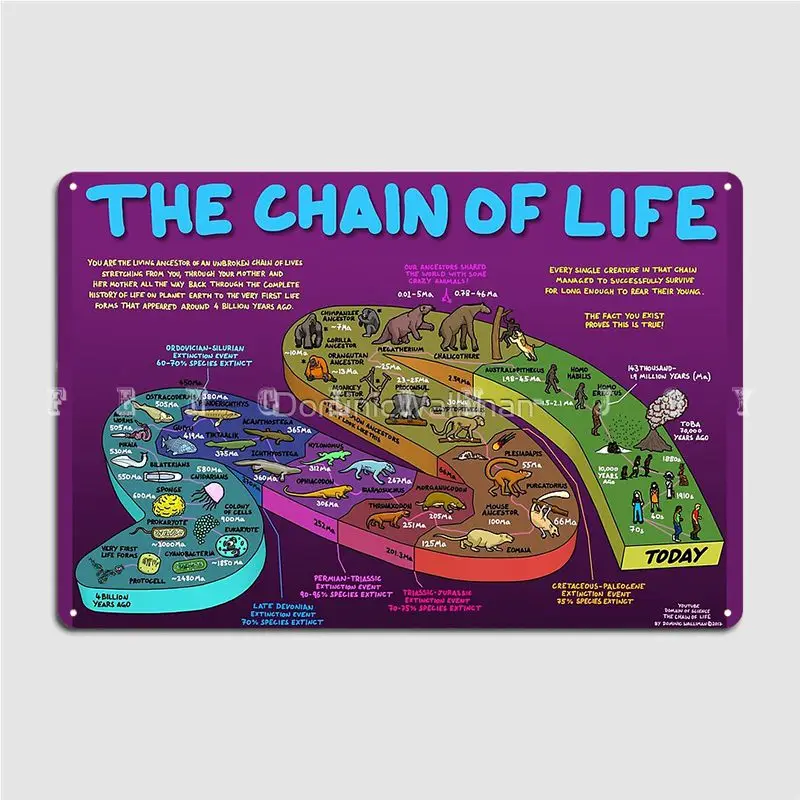 Плакат с надписью «The Chain Of Life Your Evolution History», металлический плакат для кинотеатра, гостиной, кинотеатра, украшение для гаража, жестяной плакат
Плакат с надписью «The Chain Of Life Your Evolution History», металлический плакат для кинотеатра, гостиной, кинотеатра, украшение для гаража, жестяной плакат