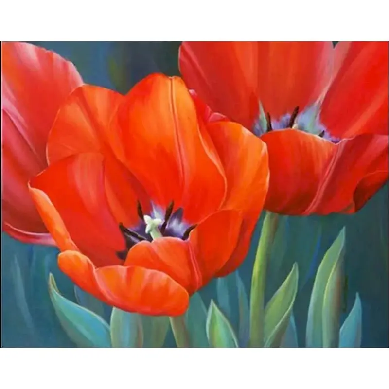 CHENISTORY Painting By Numbers Tulip Diy Flower HandPainted Oil Painting Gift For Adults Kits Pictures By Number Home Decor Wall
CHENISTORY Painting By Numbers Tulip Diy Flower HandPainted Oil Painting Gift For Adults Kits Pictures By Number Home Decor Wall