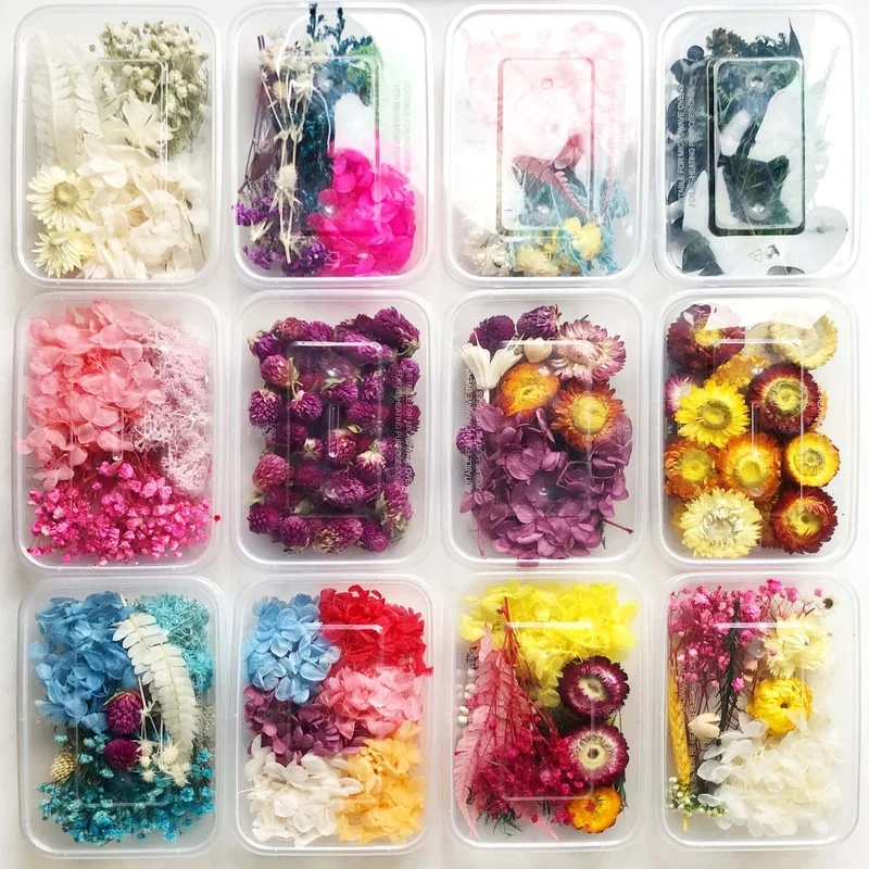 

1 Box Real Dried Flower Dry Plants for Aromatherapy Candle Epoxy Resin Pendant Necklace Jewelry Making Craft DIY Accessories