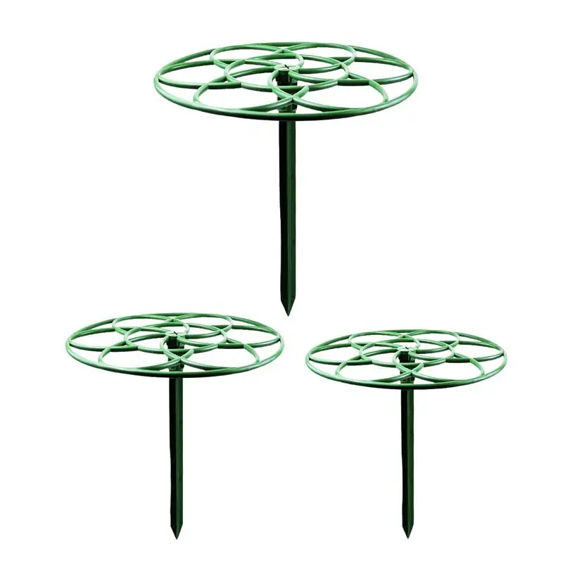 Garden Plant Stake Single Plant Stakes Single Flower Cage Plant Stakes For Indoor Plants Potted Plants Plant Cage Support Ring
Garden Plant Stake Single Plant Stakes Single Flower Cage Plant Stakes For Indoor Plants Potted Plants Plant Cage Support Ring