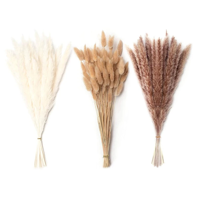 Dried Pampas Grass Decor,Natural Pampas Floral,Dried Pampas Grass for Flower Arrangements Boho Decor Wedding Decor
Dried Pampas Grass Decor,Natural Pampas Floral,Dried Pampas Grass for Flower Arrangements Boho Decor Wedding Decor