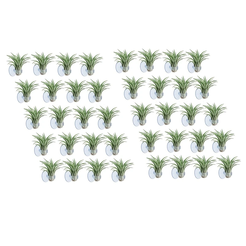 40 Pcs Air Plant Holder, Plant Pot Tillandsia Holder Air Plant Hanger With Suction Cup For Hanging (Plants Not Included)
40 Pcs Air Plant Holder, Plant Pot Tillandsia Holder Air Plant Hanger With Suction Cup For Hanging (Plants Not Included)