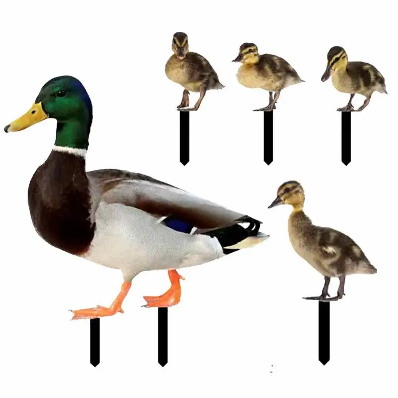 5 Flat Garden Duck Stakes Acrylic Green-Headed Duck Shaped Statue Sculpture Home And Garden Decor Accessories For Yard Patio
5 Flat Garden Duck Stakes Acrylic Green-Headed Duck Shaped Statue Sculpture Home And Garden Decor Accessories For Yard Patio