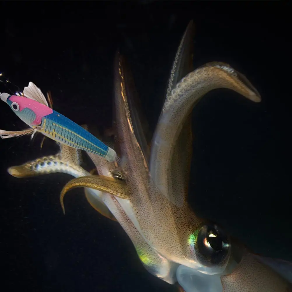 10cm/10g Fishing Lure Strong Penetration Tempting Sharp Luminous Shrimp Squid Jig Fishing Bait for Fishing Lovers
10cm/10g Fishing Lure Strong Penetration Tempting Sharp Luminous Shrimp Squid Jig Fishing Bait for Fishing Lovers