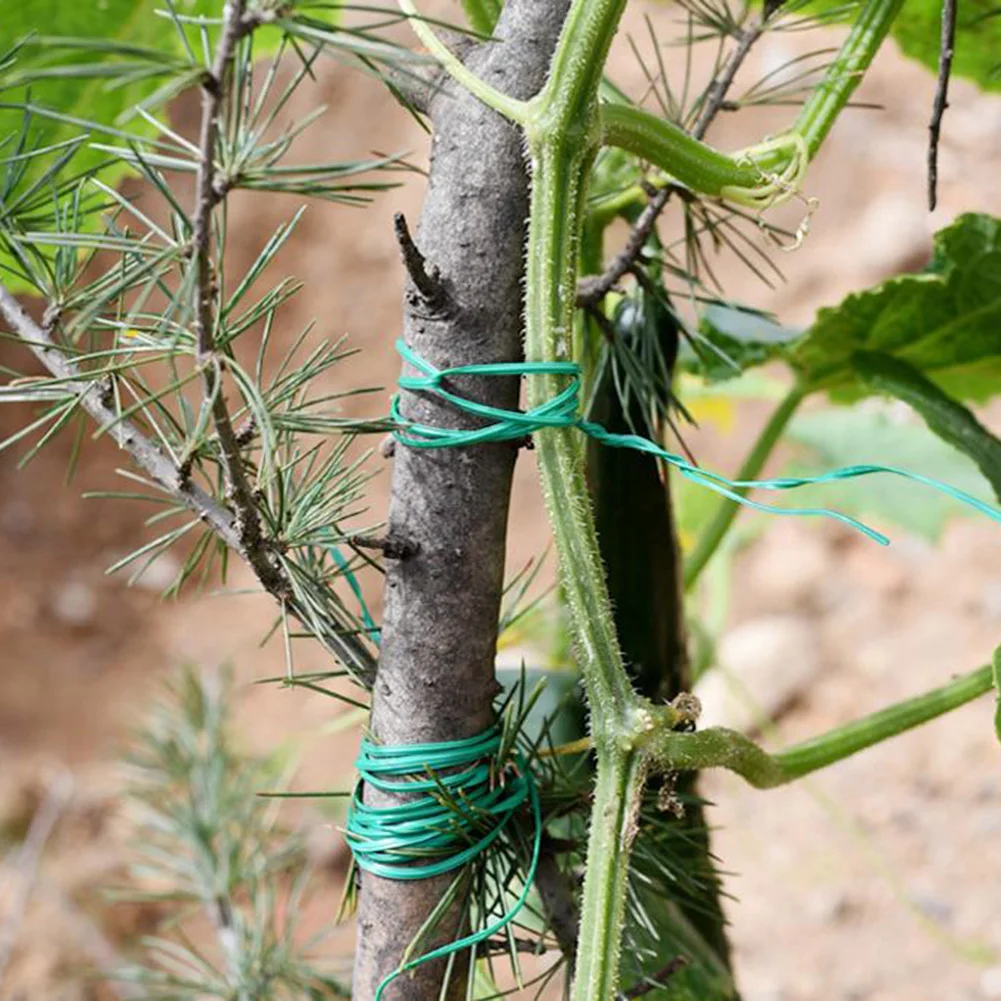 Gardening Plant Soft Tie With Wire Cutter 20/30/50/100m Length Flower Vine Climbing Plant Fixed Strapping Garden Fastening Clips
Gardening Plant Soft Tie With Wire Cutter 20/30/50/100m Length Flower Vine Climbing Plant Fixed Strapping Garden Fastening Clips