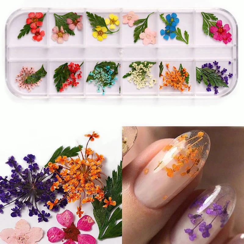 12 Style Dried Flowers Nail Decorations Natural Floral Sunflower Daisy Stickers 3D Nail Art Designs Polish Manicure Accessories
12 Style Dried Flowers Nail Decorations Natural Floral Sunflower Daisy Stickers 3D Nail Art Designs Polish Manicure Accessories
