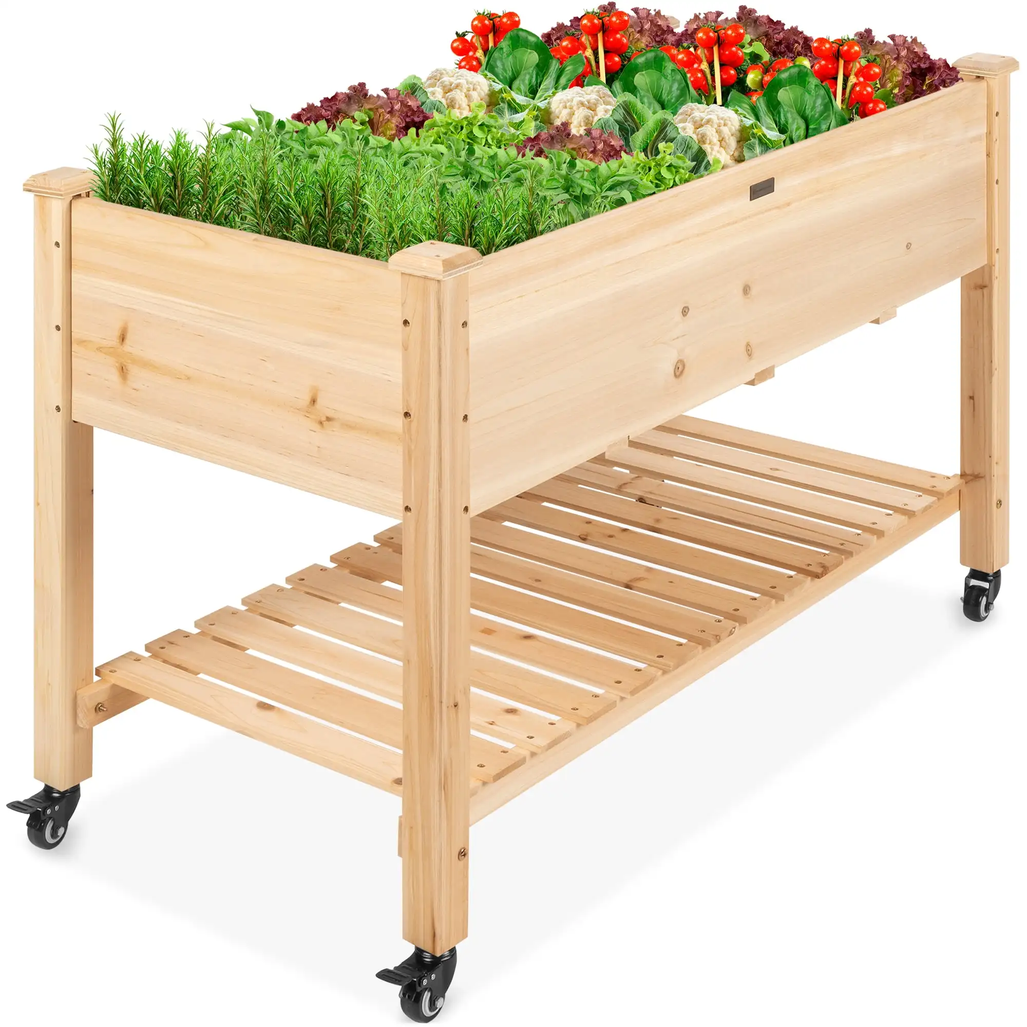 Натуральная поднятая садовая кровать 48x24x32 дюйма С колесными замками, подвесная деревянная подставка
Натуральная поднятая садовая кровать 48x24x32 дюйма С колесными замками, подвесная деревянная подставка