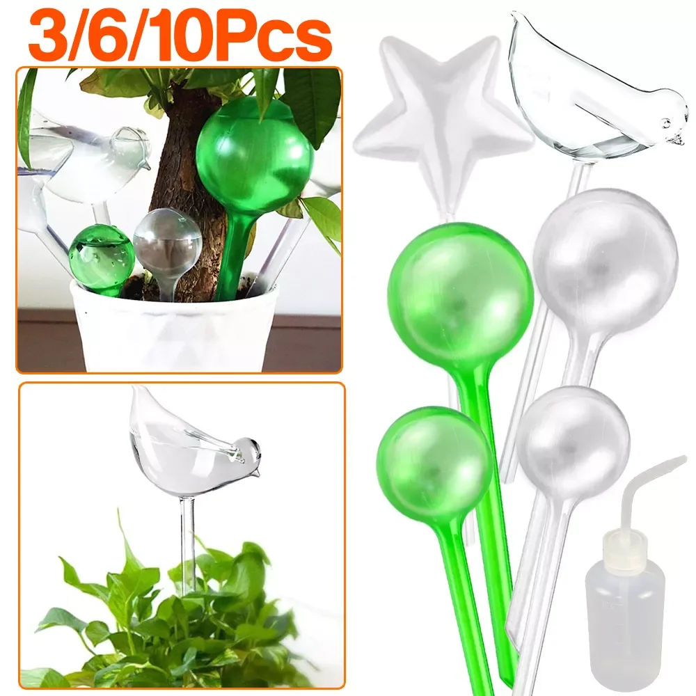 20223/6/10 Pcs Automatic Plant Watering Bulb Self Watering Device Houseplant Plant Pot Bulb Globe Garden Watering System for Pla
20223/6/10 Pcs Automatic Plant Watering Bulb Self Watering Device Houseplant Plant Pot Bulb Globe Garden Watering System for Pla