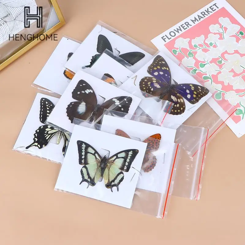 Образцы настоящих бабочек, 1 шт., редкие и изысканные образцы для украшения дома, демонстрационная коллекция для преподавания, специальные подарки
Образцы настоящих бабочек, 1 шт., редкие и изысканные образцы для украшения дома, демонстрационная коллекция для преподавания, специальные подарки