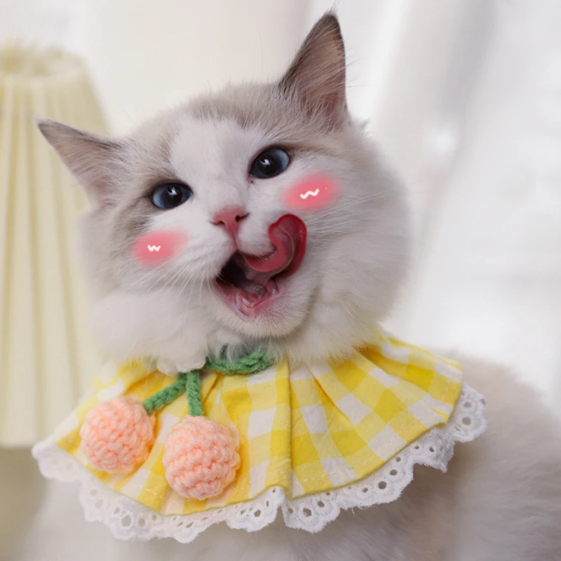 Lovely Lace Dog Collar Cat Collar Bowknot Pet Collar Bibs Lovely Dog Cat Necklace Decor For Small Dogs Cats Plaid Flowers Collar
Lovely Lace Dog Collar Cat Collar Bowknot Pet Collar Bibs Lovely Dog Cat Necklace Decor For Small Dogs Cats Plaid Flowers Collar