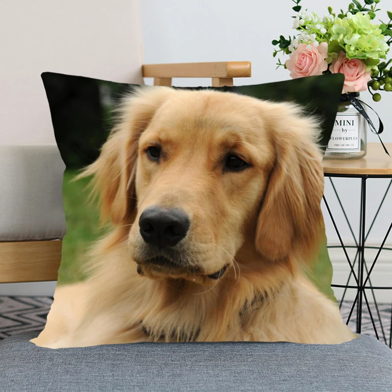 45X45cm Golden Retriever Dog Pillow Cover Bedroom Home Office Decorative Pillowcase Square Zipper Pillow Cases Satin Soft Fabric
45X45cm Golden Retriever Dog Pillow Cover Bedroom Home Office Decorative Pillowcase Square Zipper Pillow Cases Satin Soft Fabric