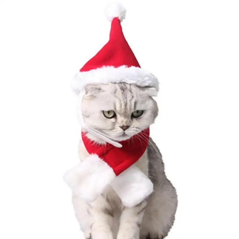 Pet Cat Dog Christmas Hat With Scarf Adjustable Santa Hat For Dog And Christmas Pet Knit Red Scarf Striped Scarf Winter Pet
Pet Cat Dog Christmas Hat With Scarf Adjustable Santa Hat For Dog And Christmas Pet Knit Red Scarf Striped Scarf Winter Pet