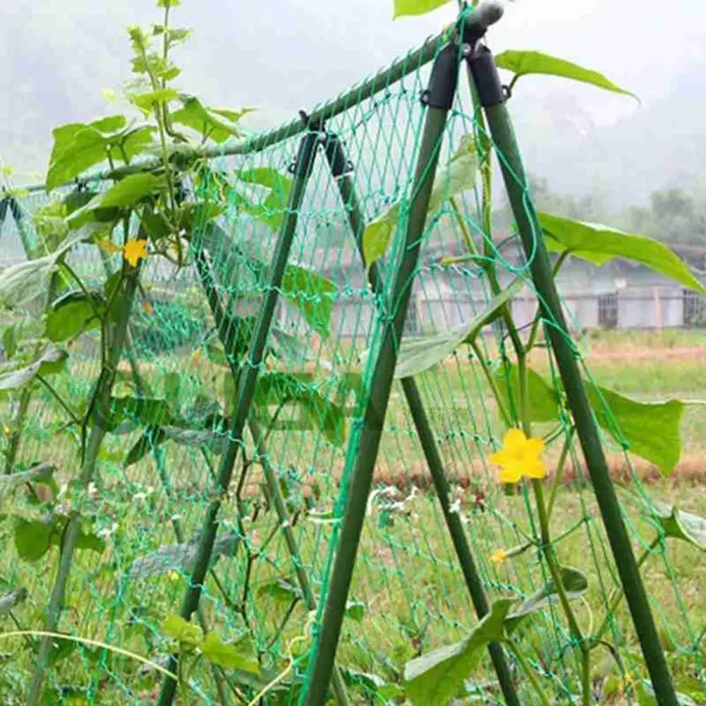 1 шт., пластиковые фиксаторы для растений
1 шт., пластиковые фиксаторы для растений