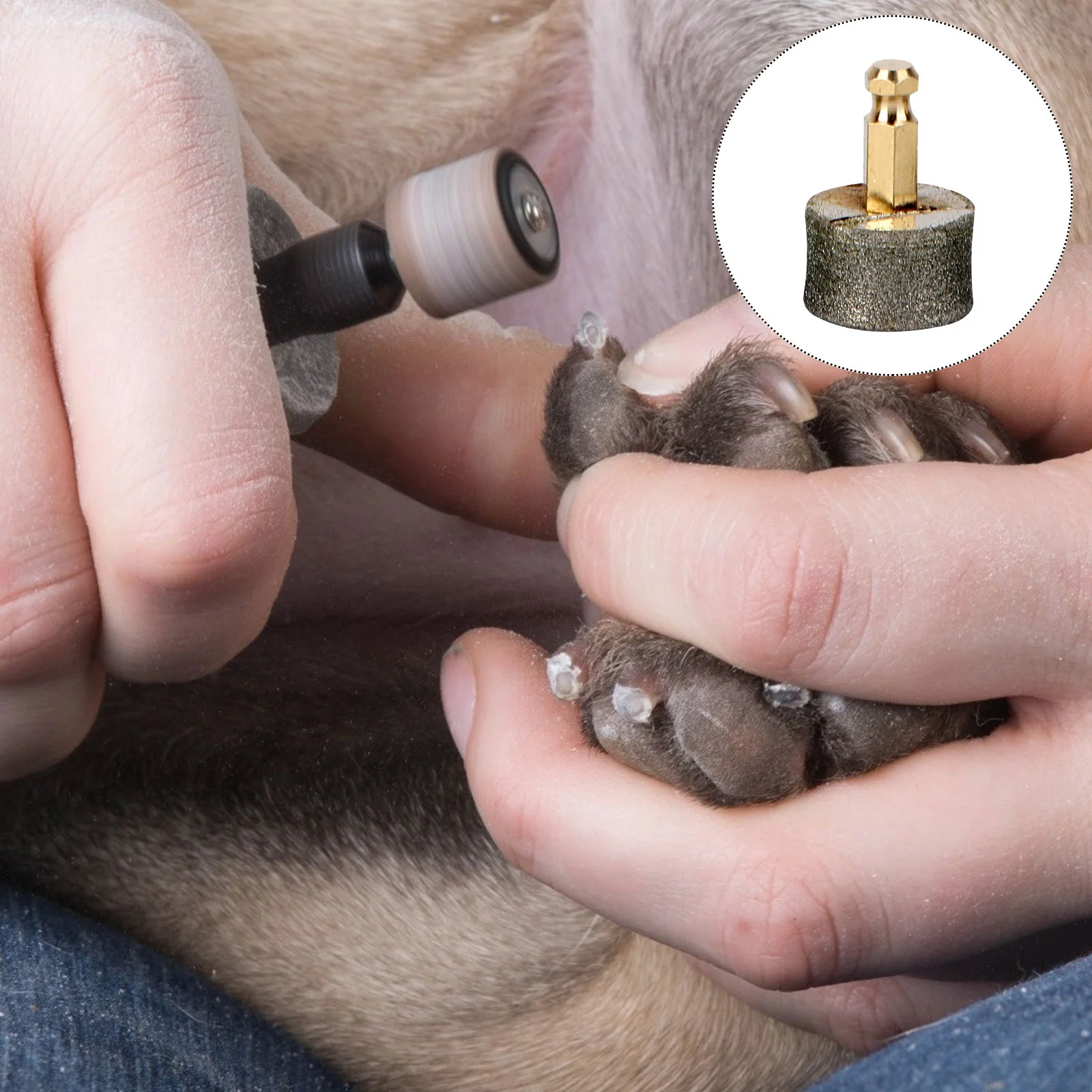 Nail Grinder Head Pet Replacementdogs Dogprofessional Trimmer Grinders Replacements Tip Heads Tips Wheel Spare Grinding Claw
Nail Grinder Head Pet Replacementdogs Dogprofessional Trimmer Grinders Replacements Tip Heads Tips Wheel Spare Grinding Claw