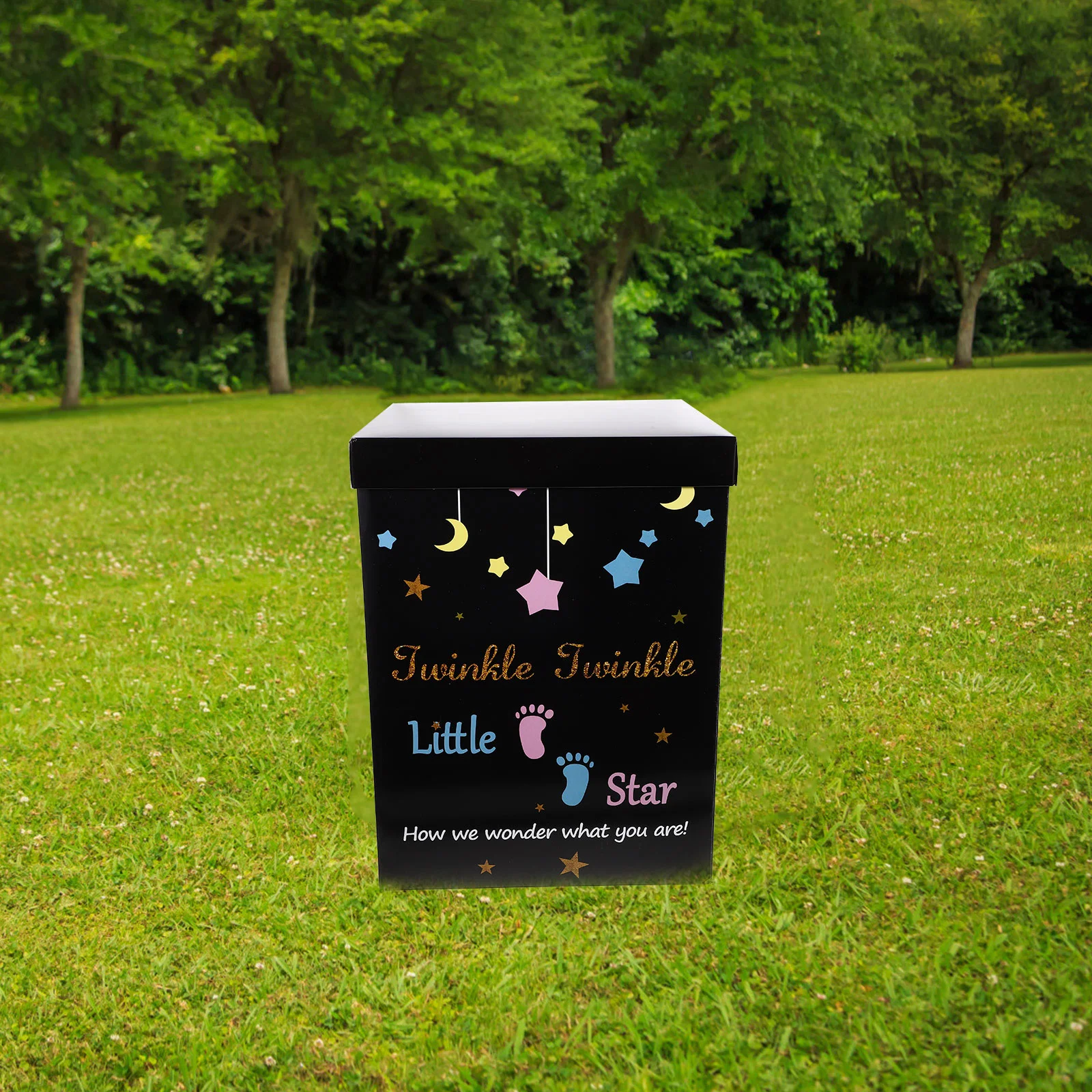Gender Reveal Party Box Gender Reveal Balloons Box Paper Balloons Box for Baby Shower
Gender Reveal Party Box Gender Reveal Balloons Box Paper Balloons Box for Baby Shower