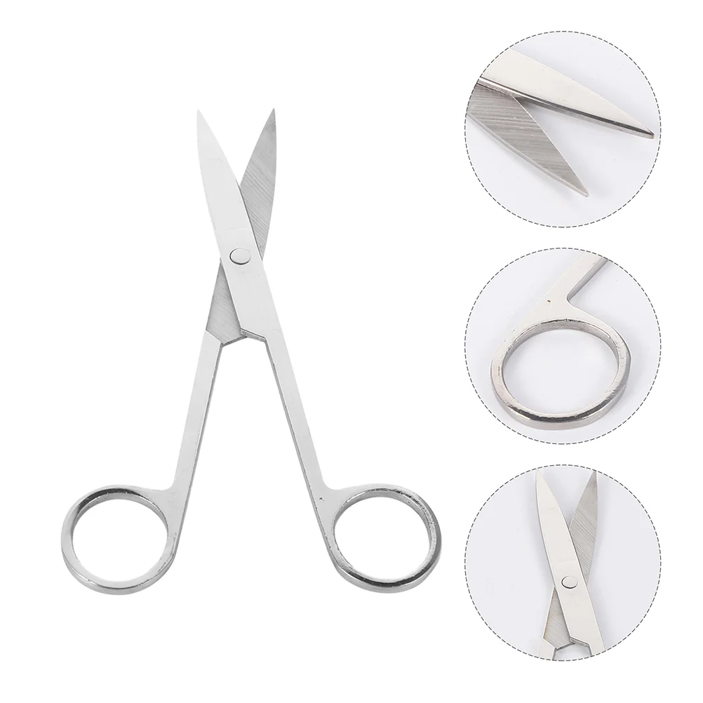 2 Pcs Dissecting Scissors Precision Tools Eyebrow Scissors Animal Surgery Scissors Nickel Plated Experiment Scissors Student
2 Pcs Dissecting Scissors Precision Tools Eyebrow Scissors Animal Surgery Scissors Nickel Plated Experiment Scissors Student